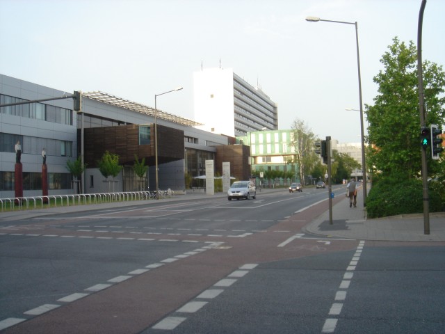 dsc08283.jpg