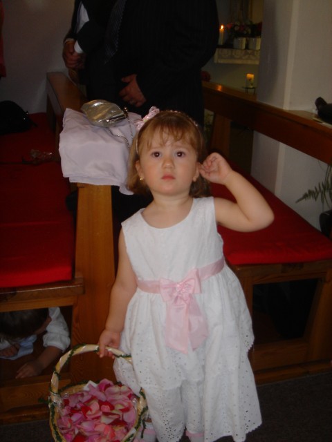 dsc08326.jpg