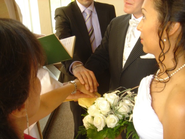 dsc08337.jpg