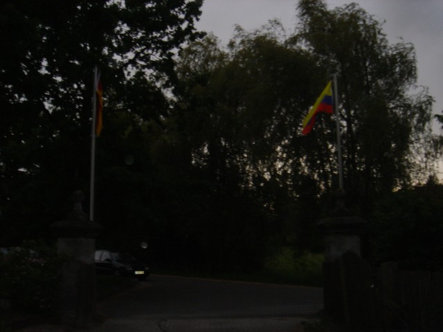 dsc08481.jpg